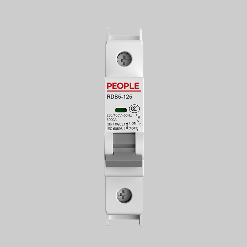 人民电器（PEOPLE） 小型断路器  RDB5-125 D100
